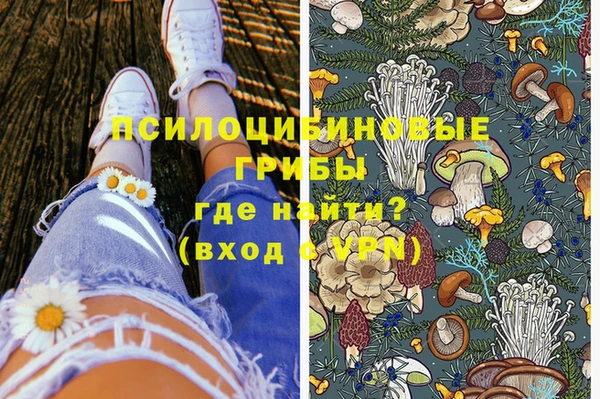 героин Михайлов
